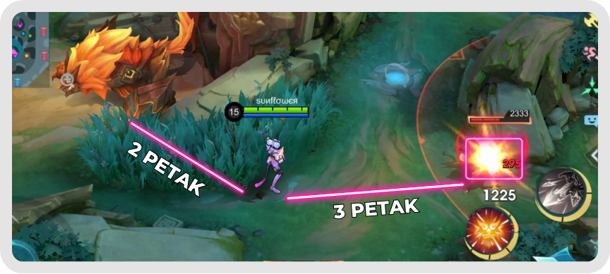 Setting Wanwan 8
